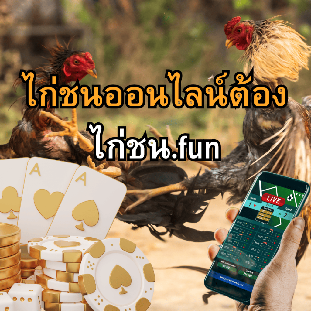 ไก่ชน.fun