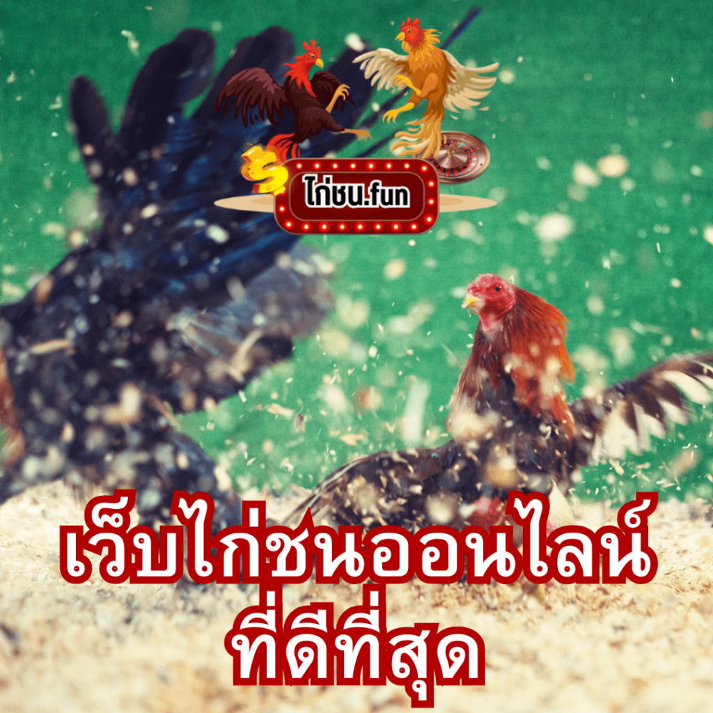 ไก่ชน.fun